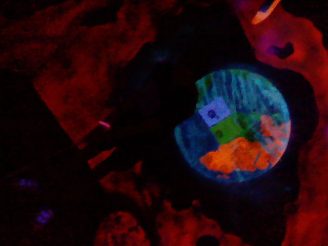 HNI_0064.JPG