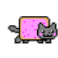 cat.png
